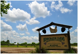 Please visit my brother Drew’s web site: www.henscratchfarms.com!